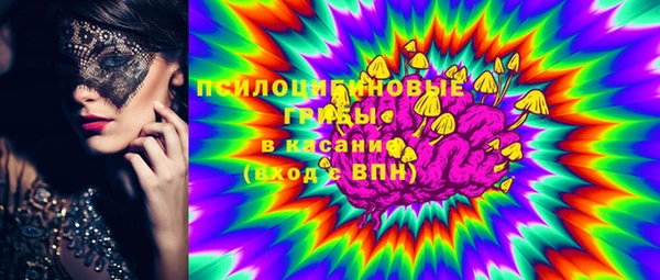 прущая мука Краснослободск