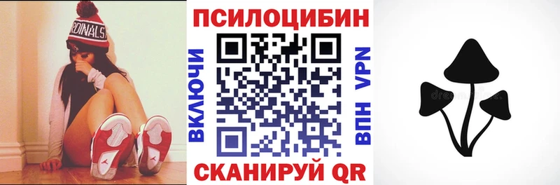 Купить  Анадырь  Псилоцибиновые грибы мухоморы 